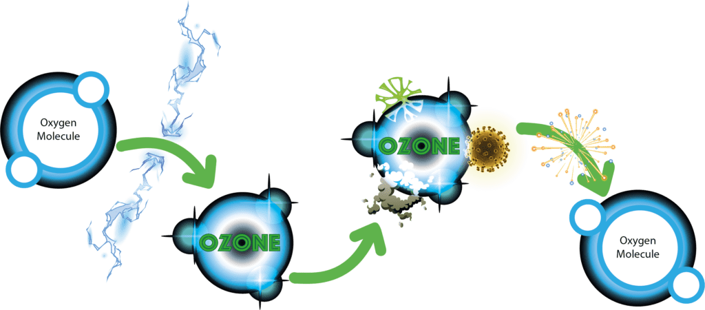 Ozone cycle